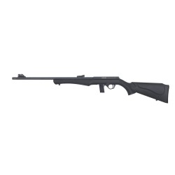 carabine 8117 17hmr